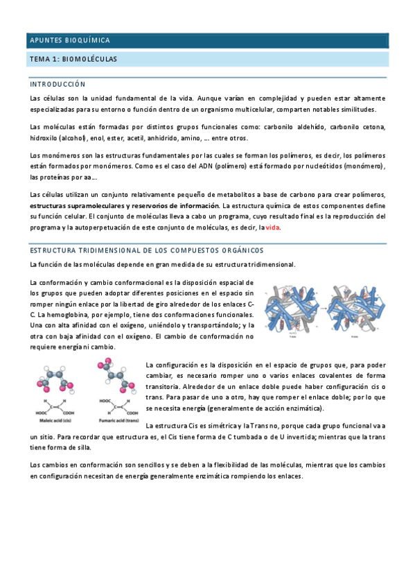 Miniatura del documento Apuntes-Bioquimica.pdf