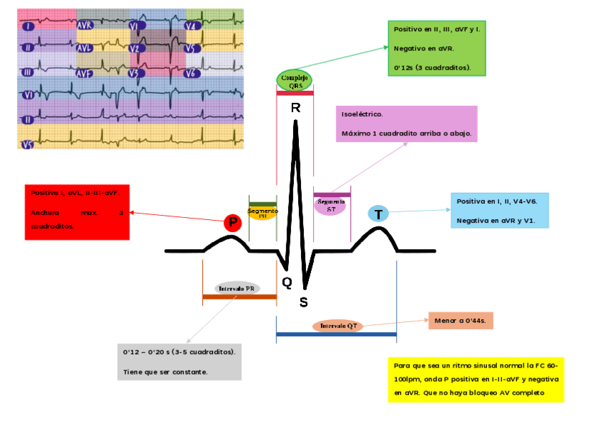 Miniatura del documento ECG.pdf