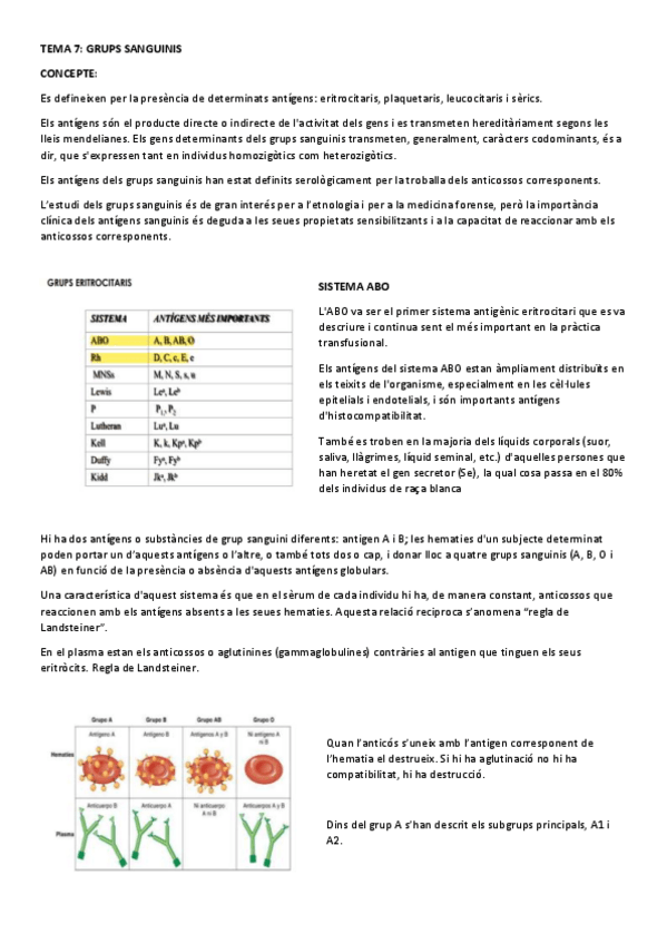 Miniatura del documento TEMA-7-grups-sanguinis.pdf