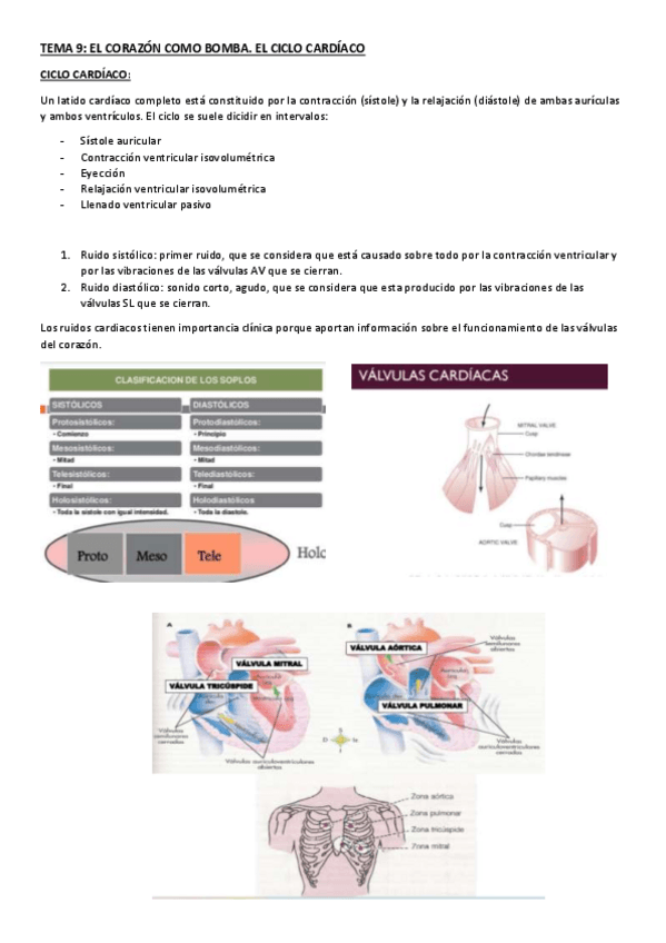 Miniatura del documento TEMA-9-ciclo-cardiaco.pdf