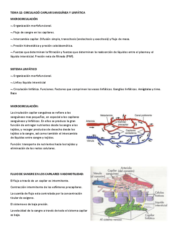 Miniatura del documento TEMA-12-circulacion-capilar-y-linfatica.pdf