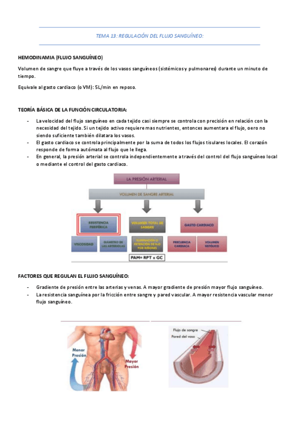 Miniatura del documento TEMA-13-regulacion-del-flujo-sanguineo.pdf