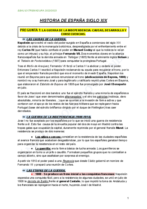Miniatura del documento Preguntas-Largas-Siglo-XIX.pdf