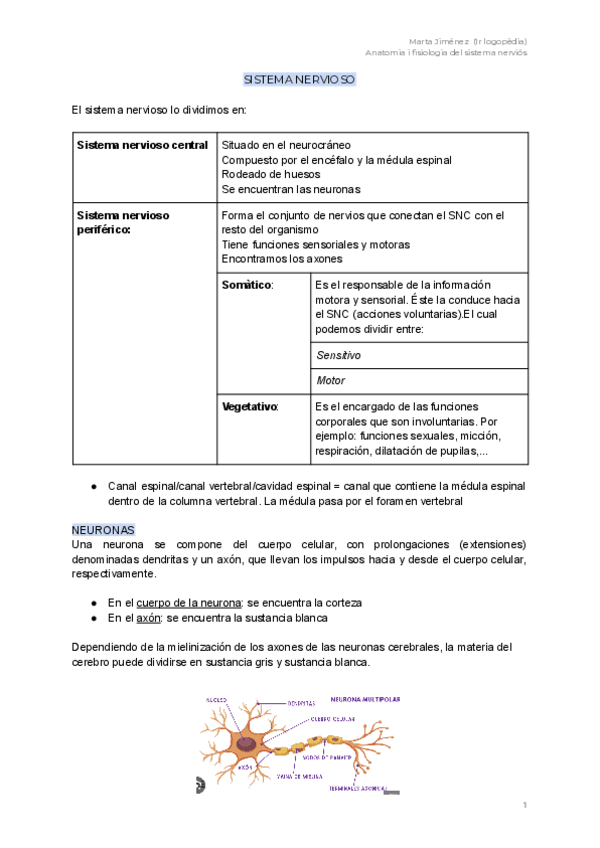 Miniatura del documento Anatomia-i-fisiologia-del-sistema-nervios.pdf