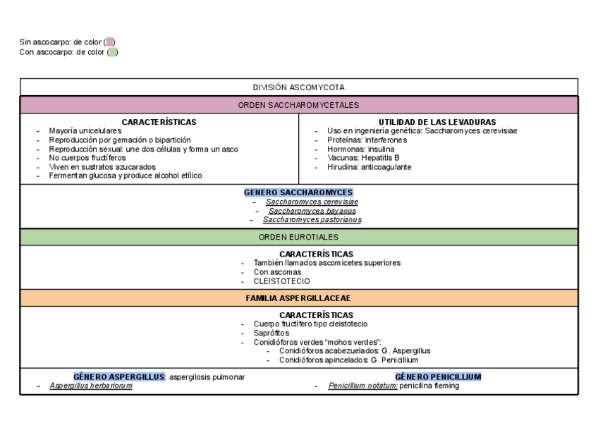 Miniatura del documento division-ascomycota.pdf