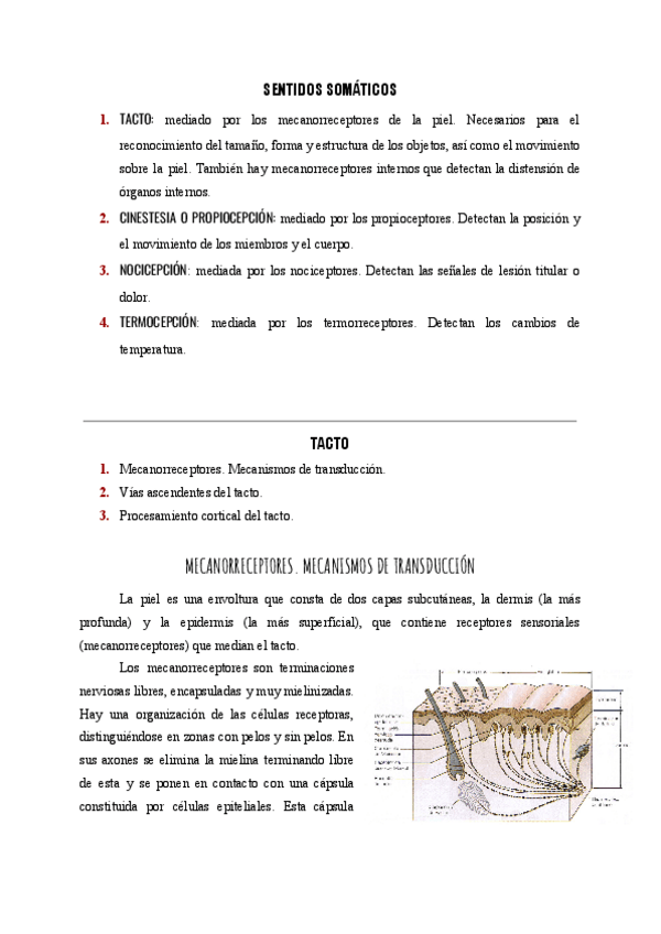 Miniatura del documento Tacto.pdf