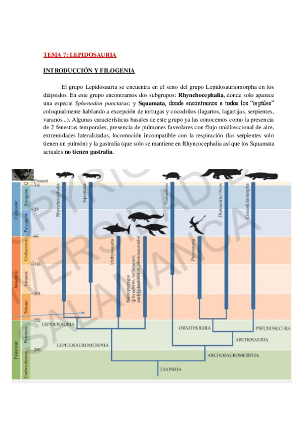 Miniatura del documento AP-FAUNA-TEMA-7-WH.pdf