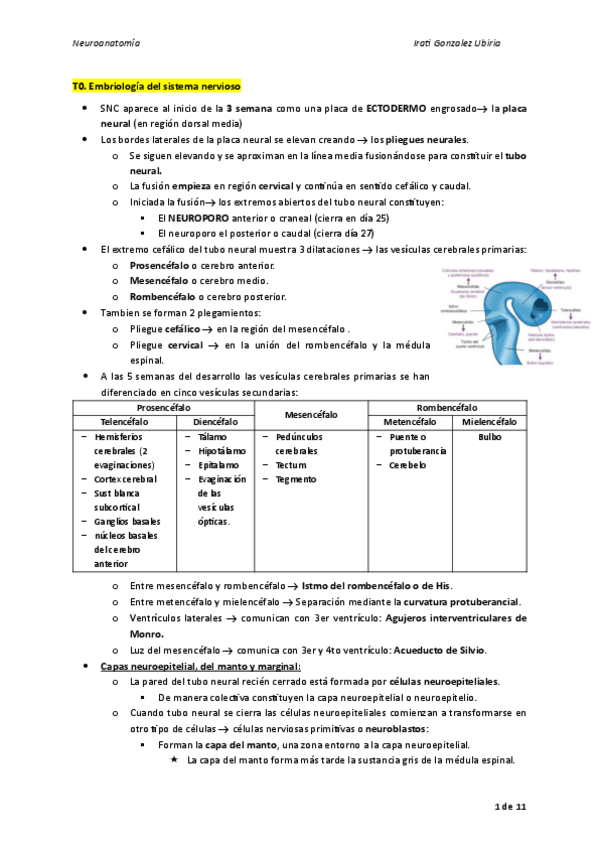 Miniatura del documento T0.-Embriologia-del-sistema-nervioso-neuroanato.pdf