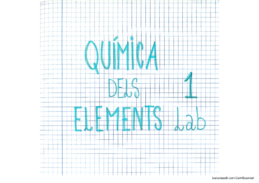 Miniatura del documento Llibreta-practiques-elements.pdf