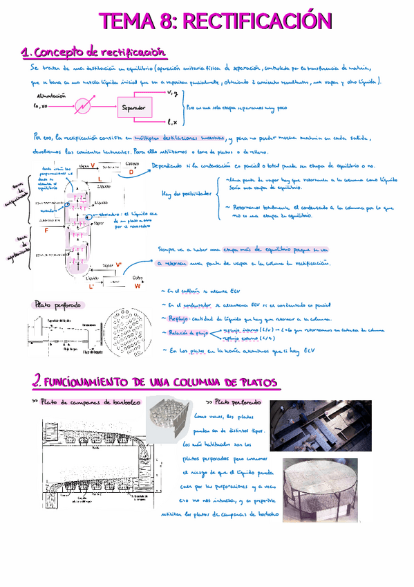 Miniatura del documento Tema-8-APUNTES-Rectificacion.pdf