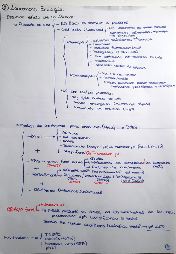 Miniatura del documento ESQUEMAS-LABORATORIO-BIOLOGIA.pdf