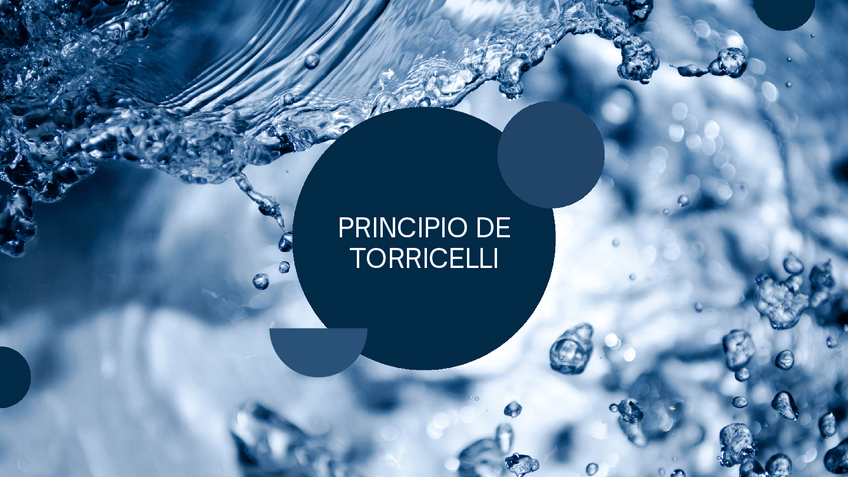 Miniatura del documento PRESENTACION.pdf