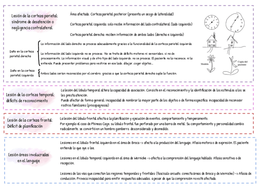 Miniatura del documento Lesiones-corteza.pdf