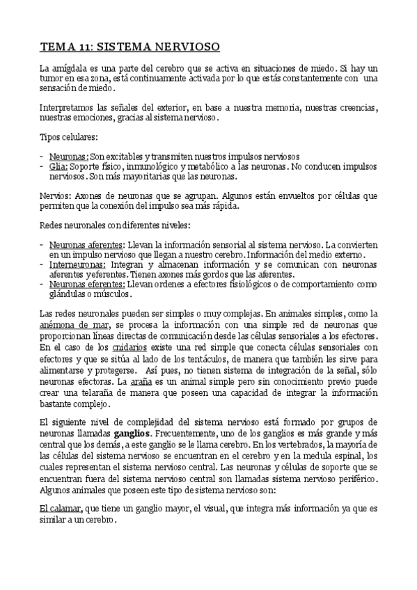 Miniatura del documento Sistema nervioso completado.pdf
