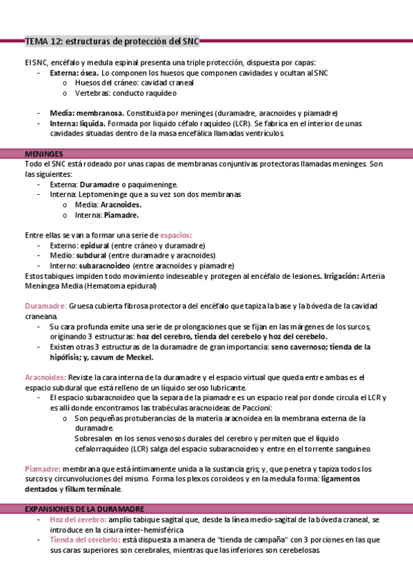 Miniatura del documento TEMA-12-Estructuras-de-proteccion-del-SNC.pdf