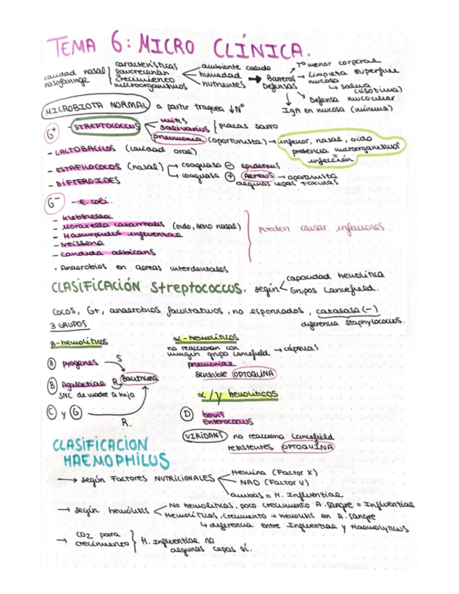 Miniatura del documento esquema-T6-micro-clinica.pdf