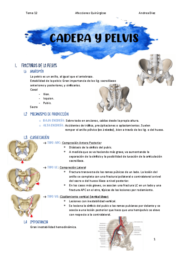 Miniatura del documento Tema-12-Cadera-y-Pelvis.pdf