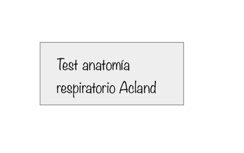 Miniatura del documento Test-sobre-anatomia-Respi-Acland.pdf