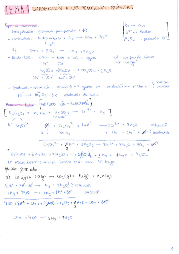Miniatura del documento 1TEMAINTRODUCCION-A-LAS-REACCIONES-QUIMICAS.pdf