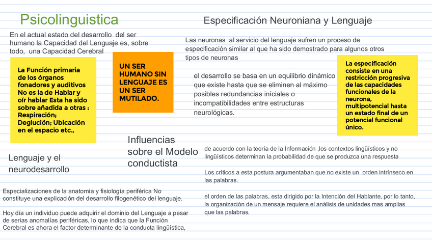 Miniatura del documento Neuropsicolinguistica.pdf