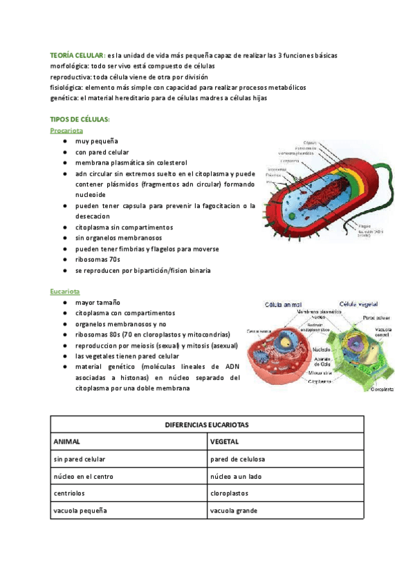 Miniatura del documento biologia-celular.pdf