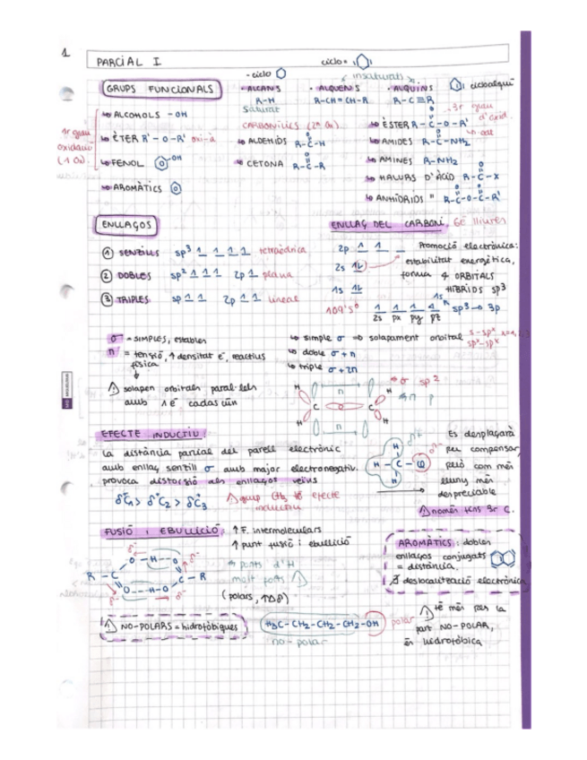 Miniatura del documento 1r-parcial-resumesquemes.pdf