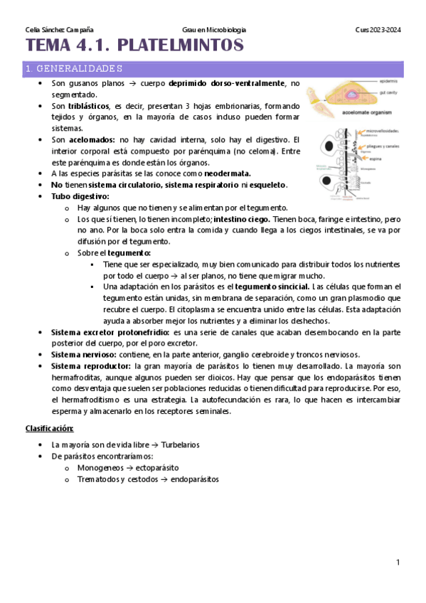 Miniatura del documento Tema-4.1.-Platelmintos.pdf