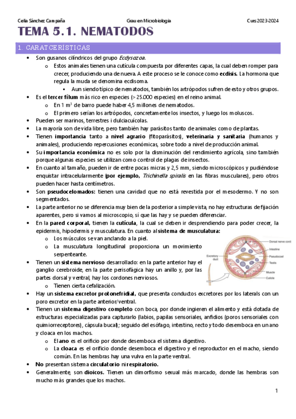 Miniatura del documento Tema-5.1.-Nematodos.pdf
