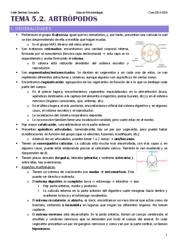 Miniatura del documento Tema-5.2.-Artropodos.pdf