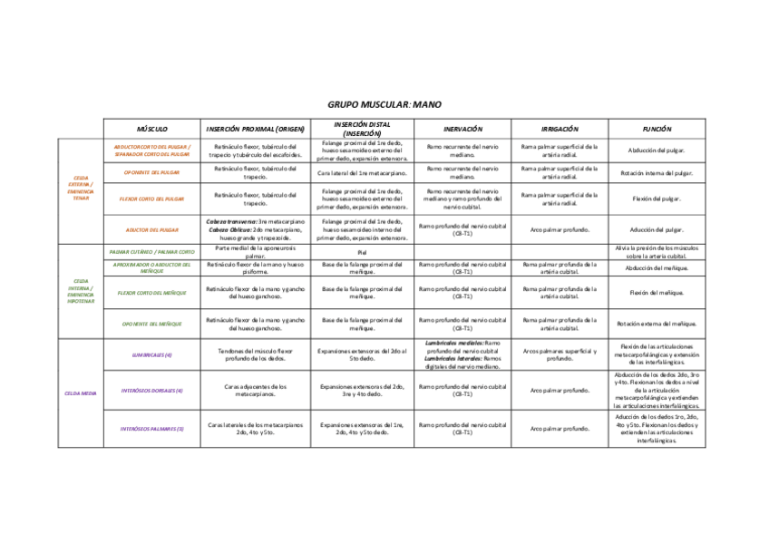 Miniatura del documento MANO.pdf