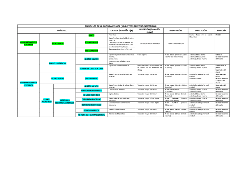 Miniatura del documento Anatomia-de-la-cintura-pelvica.pdf