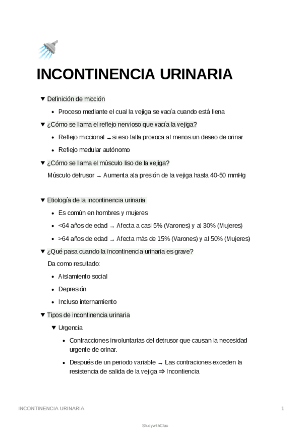 Miniatura del documento INCONTINENCIA URINARIA.pdf