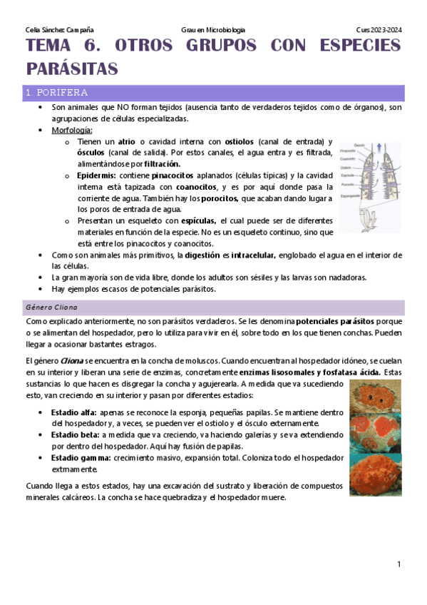 Miniatura del documento Tema-6.-Otros-grupos-de-especies-parasitarias.pdf