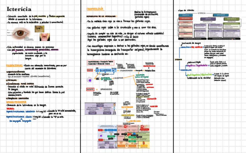 Miniatura del documento Ictericia.pdf