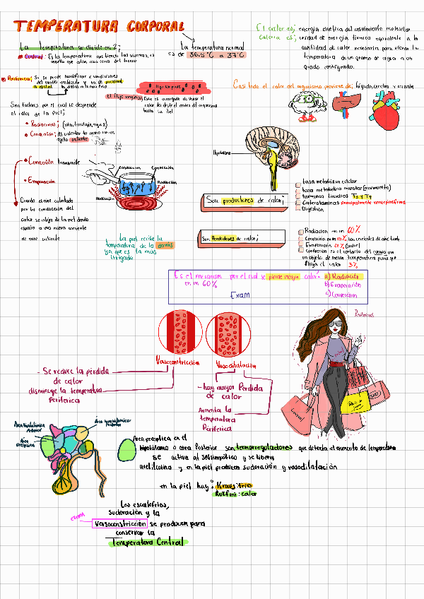 Miniatura del documento 3P-fisiologia240321205518.pdf