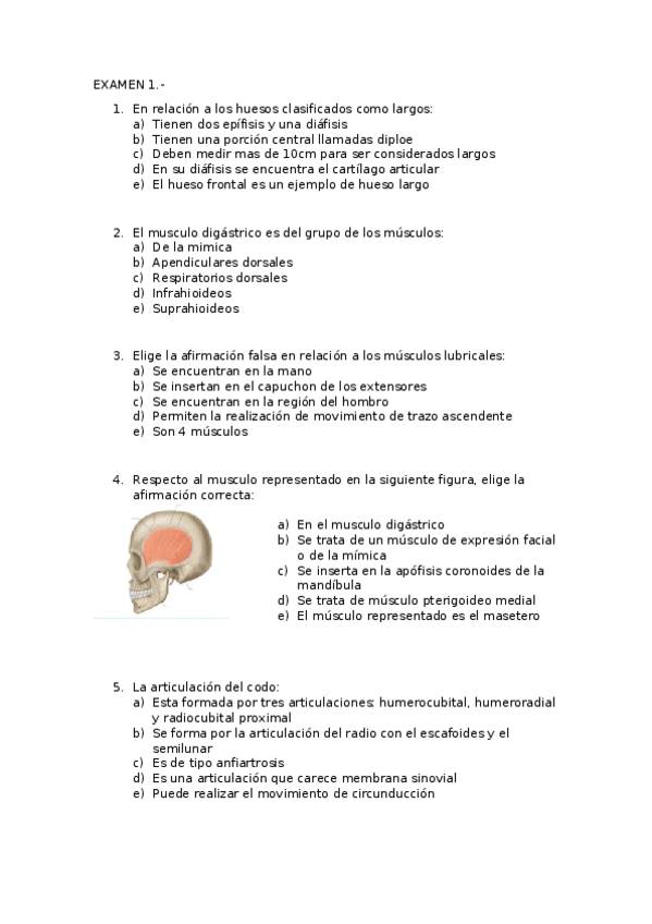 Miniatura del documento Examen-anatomia.docx