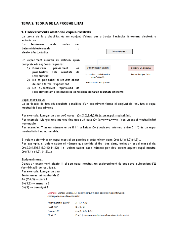 Miniatura del documento TEMA-2-TEORIA-DE-LA-PROBABILITAT.pdf