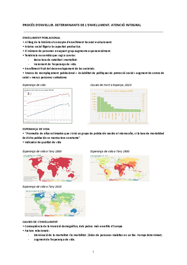 Miniatura del documento Proces-denvellir.-Determinants-de-lenvelliment.-Atencio-integral.pdf