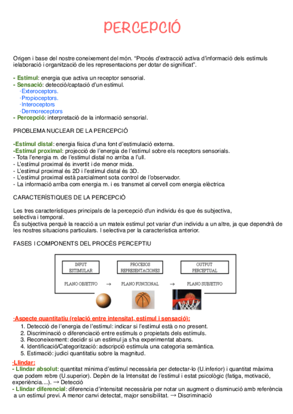 Miniatura del documento Apunts-percepcio-i-atencio.pdf