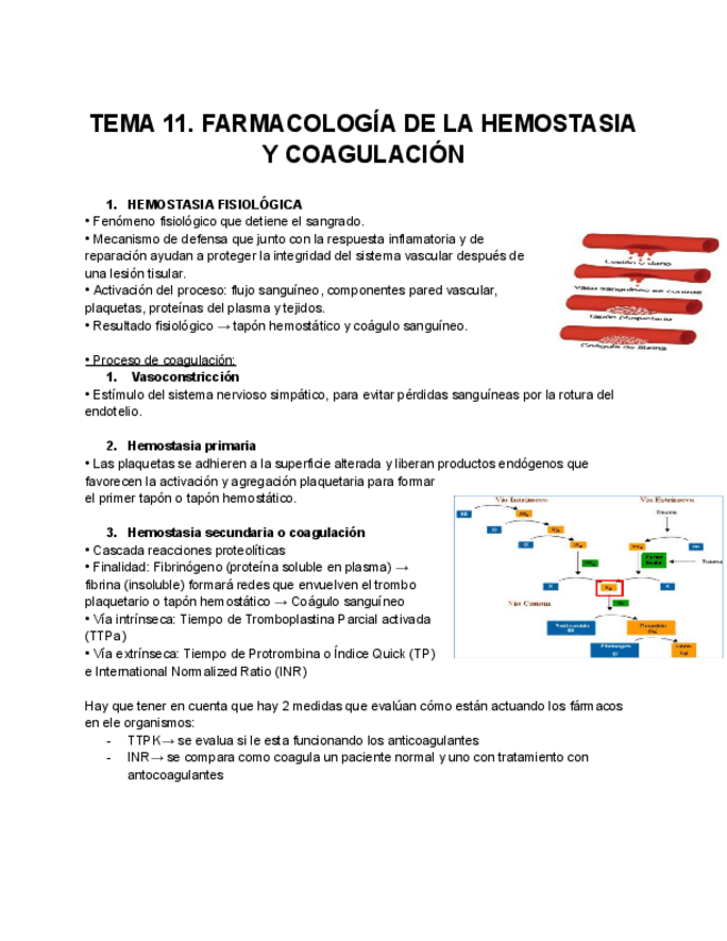 Miniatura del documento TEMA-11.-FARMACOLOGIA-DE-LA-HEMOSTASIA-Y-COAGULACION.pdf