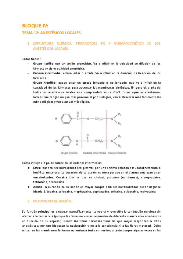 Miniatura del documento BLOQUE-4-FARMA.pdf