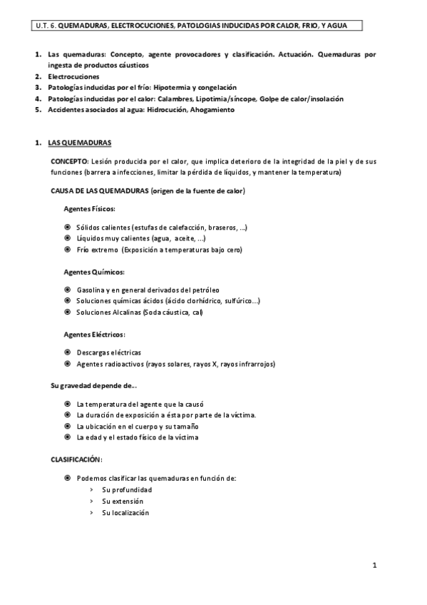 Miniatura del documento Tema-6.-Quemaduras.pdf