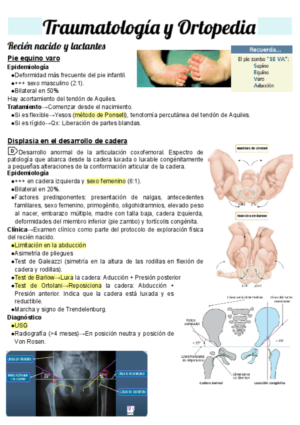 Miniatura del documento Apuntes-Traumatologia-y-Ortopedia.pdf