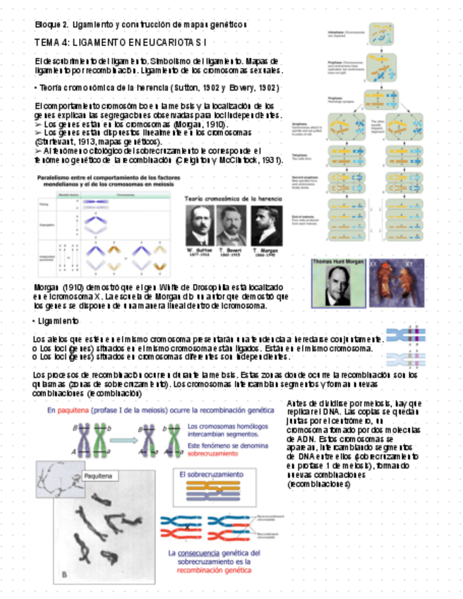 Miniatura del documento Tema-4.pdf