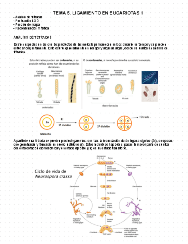 Miniatura del documento Tema-5.pdf