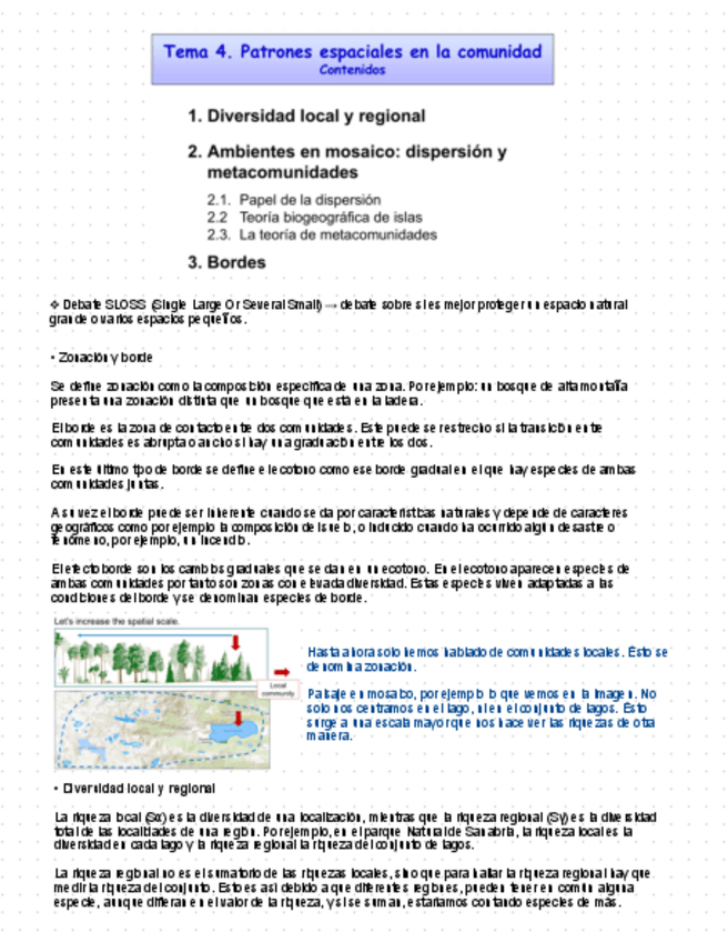 Miniatura del documento Tema-4.pdf