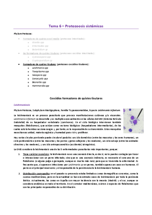 Miniatura del documento Tema-6EP.-Protozoosis-sistemicas.pdf
