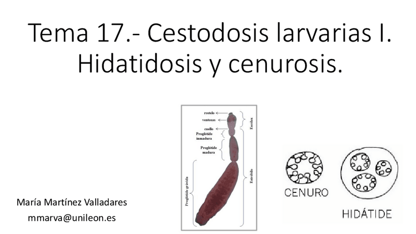 Miniatura del documento Tema-17.-Cestodosis-larvaria-I.-Cenurosis-e-hidatidosis2324.pdf