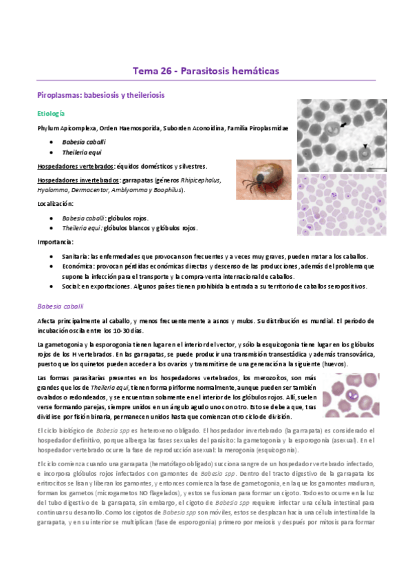 Miniatura del documento Tema-26EP.-Babesia-Theileria-Tripanosoma-Toxoplasma-Sarcocystis.pdf