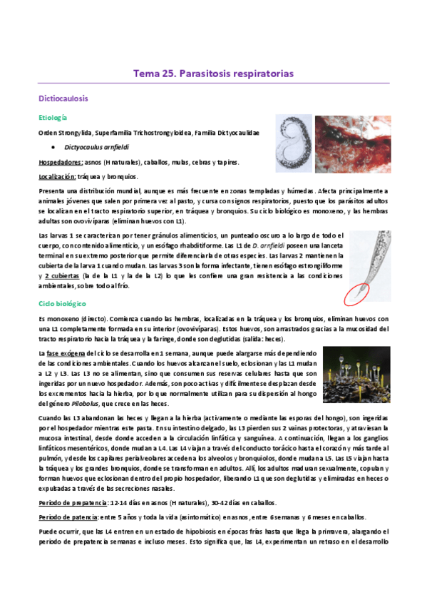 Miniatura del documento Tema-25EP.-Dictiocaulosis.pdf